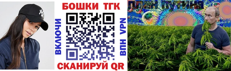 Купить где  Новый Оскол  Бошки Шишки ГИДРОПОН 